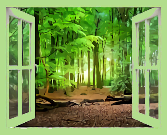Holz oder Alu-Fenster-Rahmen